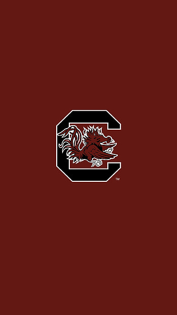 Columbia Travels, Carolina Gamecock , Most Popular HD phone wallpaper