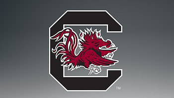 Gamecocks, Team logo, Sports theme, University spirit HD wallpaper