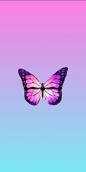 Butterfly, magenta, moths_and_butterflies, purple HD phone wallpaper