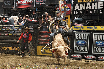 PBR excitement, Dynamic backgrounds, Top-level competition, Bullriding showcase HD wallpaper
