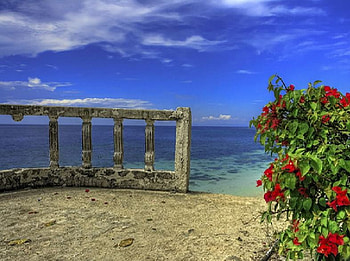 The Balcony, sea, flowers, balcony HD wallpaper
