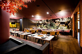 Tempting restaurants, Culinary experiences, Diverse cuisines, Memorable dining HD wallpaper