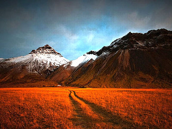 Red Grass, , red, beautiful, grass, mountains HD wallpaper