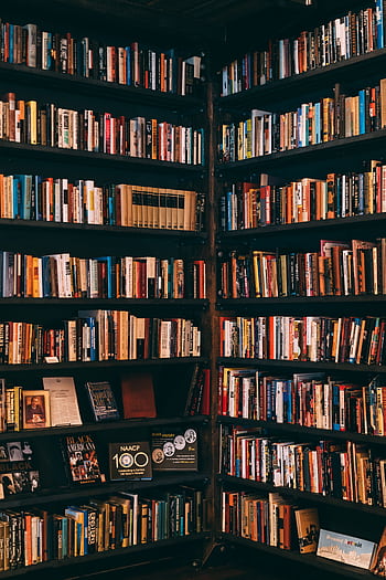 Corner view of a library with dark wooden bookshelves filled with a variety of books. HD phone wallpaper