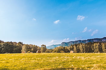 Scenic rural landscape with hay bales, forest, and clear blue sky under daylight. HD wallpaper