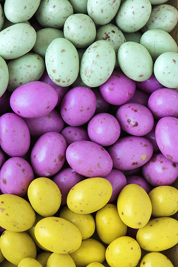 Food, Candies, Multicolored, Motley, Sweets, Dragee HD phone wallpaper