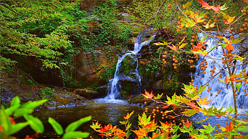 Autumn Waterfall, colors, rocks, cascade, fall, leaves HD wallpaper