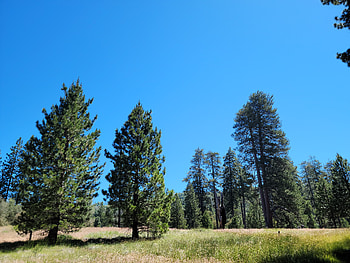 Palomar Mountain Hiking Trip in July - Doane Valley, landscape, California, mountain, graphy, nature HD wallpaper