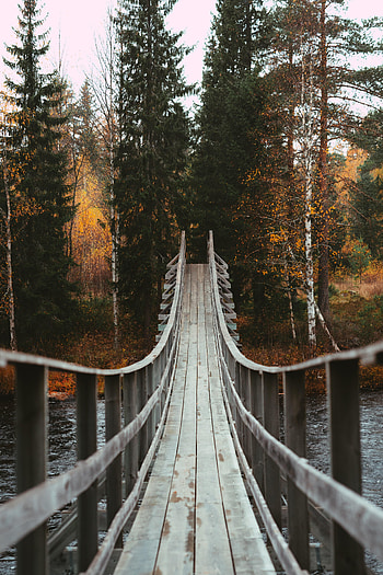 Holidays, Rivers, Trees, Autumn, Forest, Bridge HD phone wallpaper