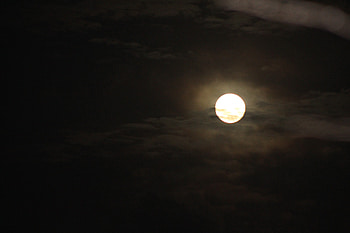 Full Aussie Moon, night, full moon, cloudy, graphy, spooky, creepy, halloween, moon, nature HD wallpaper