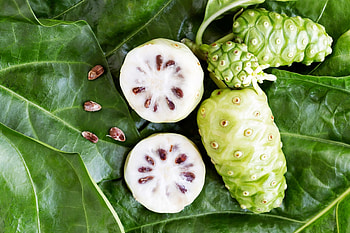 Noni Fruit, Health benefits, Superfood, Miomente entdeckermagazin HD wallpaper