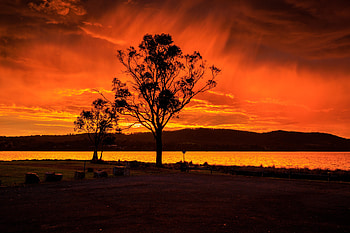 Silhouette, tree, lake, hills, sunset HD wallpaper
