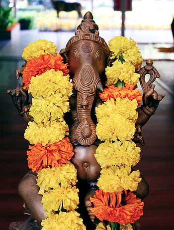 A brass Ganesha idol adorned with vibrant yellow and orange marigold garlands, symbolizing spirituality. HD phone wallpaper