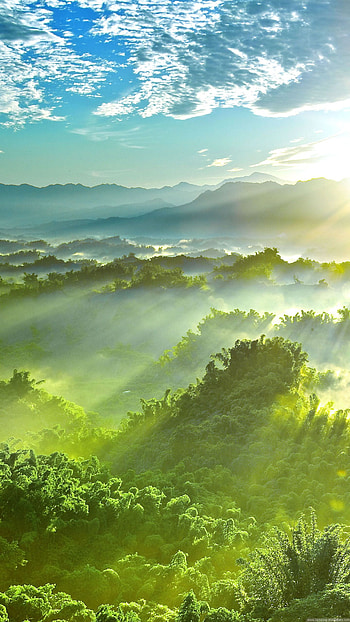 Green Jungle Lock Screen Samsung Galaxy S5, 1440X2560 Nature HD phone wallpaper