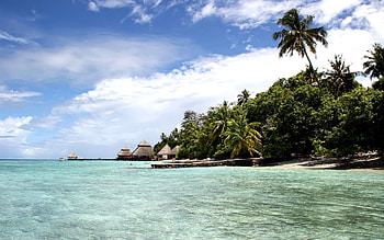 Tropical island vibes, Exotic beauty, Lush surroundings, Paradise found HD wallpaper