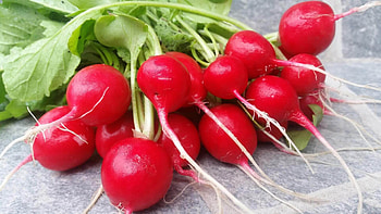 Red radish, Filling food, Ghumti pro HD wallpaper