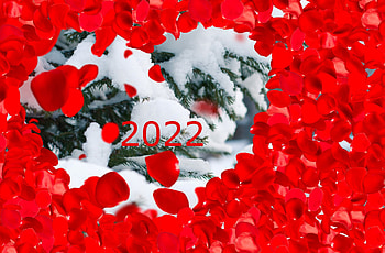 Happy new year, happy new year 2022 banner, merry christmas and happy new year 2022, new year 2022 day whatsapp status, happy new year 2022 gif, happy new year 2022 HD wallpaper
