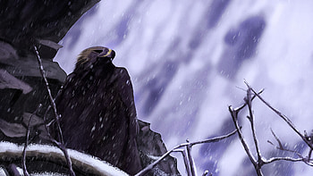 Art, Snow, Rock, Bird, Eagle HD wallpaper