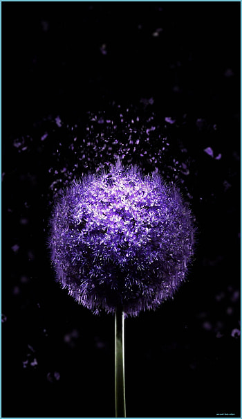 Amoled Display - Super Amoled Display, Super Amoled Mobile HD phone wallpaper