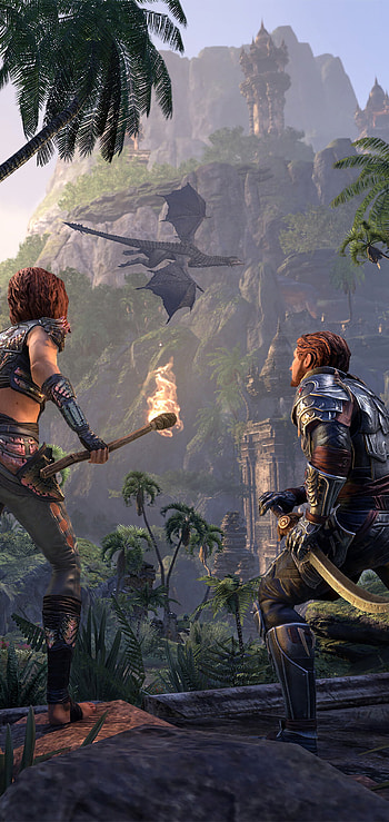 Elsweyr video game, Huawei P20, Xiaomi Mi A2 HD phone wallpaper