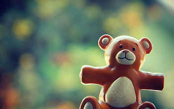 Miscellanea, Miscellaneous, Bear, Gift, Present, Doll HD wallpaper