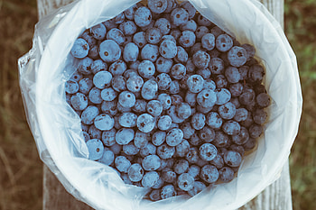 Food, Bilberries, Berries, Package, Packet HD wallpaper