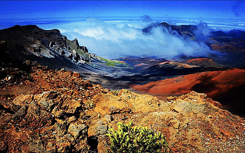 Haleakala National Park, Maui, Hawaii, clouds, flowers, rocks, usa, stones HD wallpaper