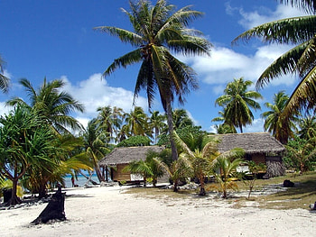 No Shirt, No Shoes, No Problems, palms, huts, no s, paradise, serenity HD wallpaper