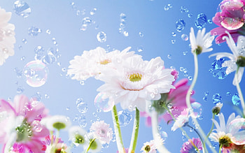 bright beautiful flowers, nature, flowers HD wallpaper