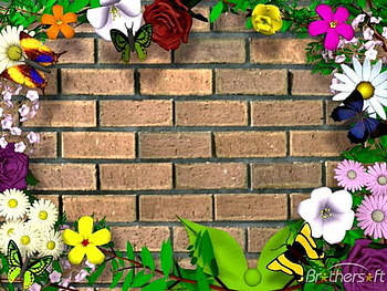 Butterffly Wall, butterflies, garden, brick wall, flowers HD wallpaper