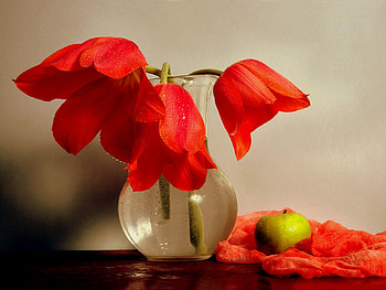 Spring Dew, table, dew drops, vase, red scarf, tulips, still life, red tulips, apple, flowers, droplets HD wallpaper
