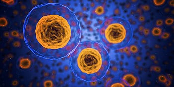 Structure, 3D, Cells, Microbiology HD wallpaper