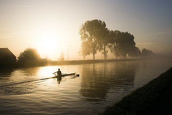 Canal rowing, Sunlit rowing, Water rowing, Trees and rowing HD wallpaper