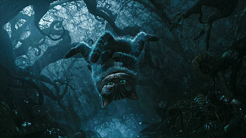 Cheshire cat, , Background, Aesthetic HD wallpaper