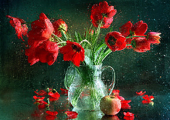 Red Tulips, graphy, drops, tulips, beauty, drop, wet, petals, sweet, rain, red tulip, window, red petals, vase, rainy, romance, beautiful, still life, pretty, red, with love, apple, nature, romantic, flowers, lovely, tilip, for you HD wallpaper
