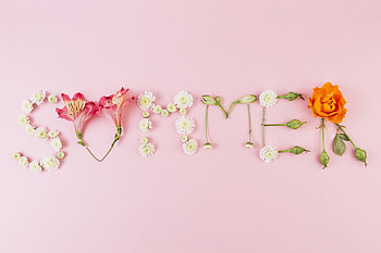 Summer, Flowers, Background, Competition, Pink HD wallpaper