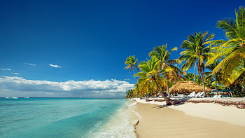 Scuba diving in Dominican Republic, PADI certified HD wallpaper