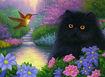 In the Garden, black cat, roses, attractions in dreams, cats, garden, paintings, spring, love four seasons, animals, hummingbird, draw and paint, flowers HD wallpaper