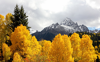Nature, Trees, Mountains, Autumn, Snow, Vertex, Tops HD wallpaper