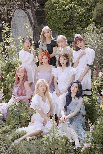 Twice, K-pop HD phone wallpaper