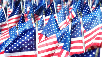 Veterans Day appreciation, Military service, Grateful nation, Courageous heroes HD wallpaper
