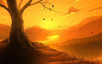 Sun Set, rise, set, sun, land, tree HD wallpaper