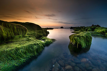 Moss, rocks, sunset, coast, nature HD wallpaper