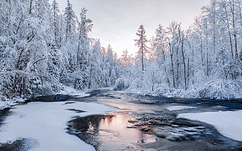 Winter River Serenity: Stunning Nature, river, nature, winter, season HD wallpaper
