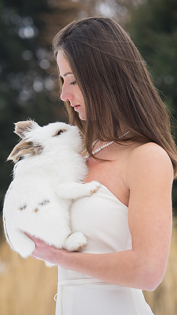 bunny, brunette, model, woman, mood HD phone wallpaper