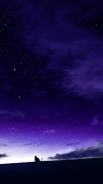 Night Background, Night HD phone wallpaper