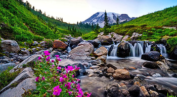 Small mountain waterfall, grass, rocks, mountain, stones, creek, slope, brook, summer, wildflowers, waterfall, peak, stream HD wallpaper