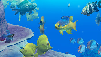 Endless Ocean HD wallpaper