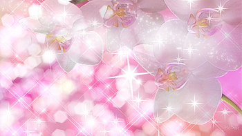 : For Gt Pink Sparkle , White Sparkle . HD wallpaper