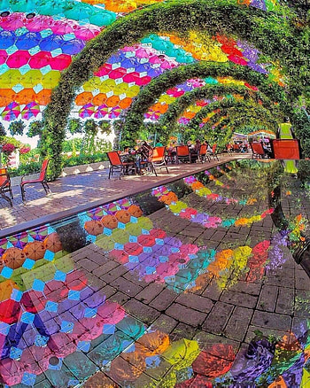 Flowers garden Dubai, people_in_nature, art HD phone wallpaper